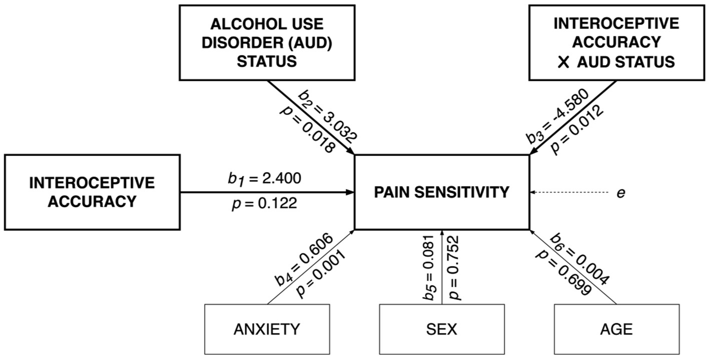 Fig. 2. Effects of interoceptive accuracy and AUD status on pain sensitivity. Note. Coefficients are not standardized.
